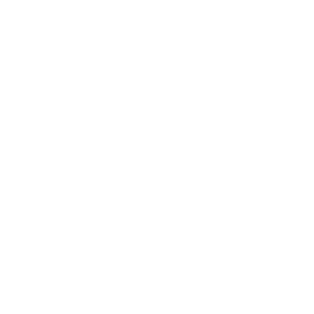 Spider Web